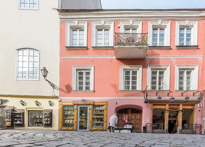 Angel House Vilnius, Pilies * فيلنيوس