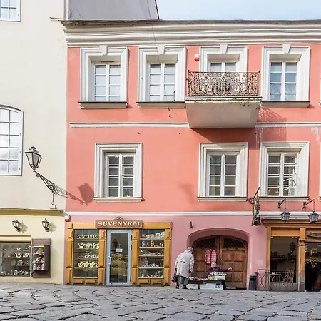 Angel House Vilnius, Pilies * 维尔纽斯